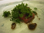 2014年12月28日 003.JPG