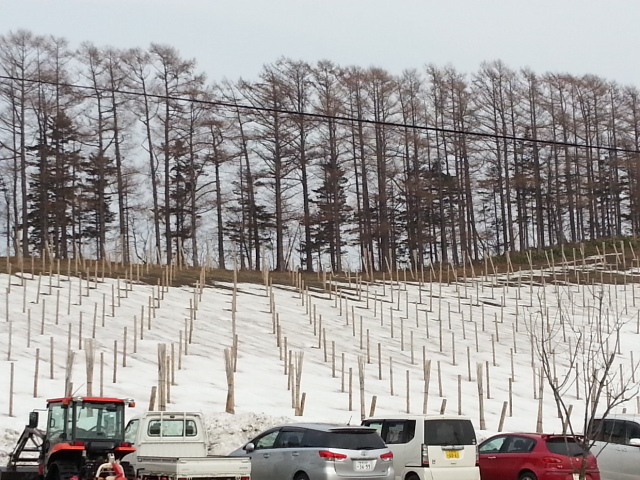 20150329_143151.jpg