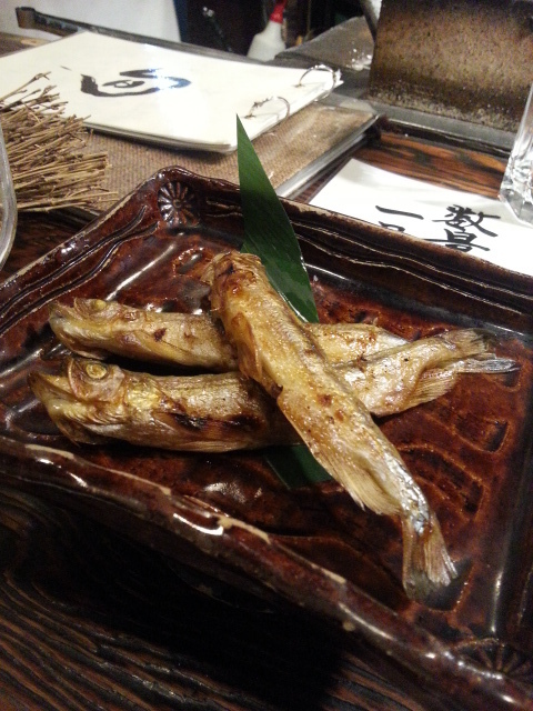 20150529_215537.jpg